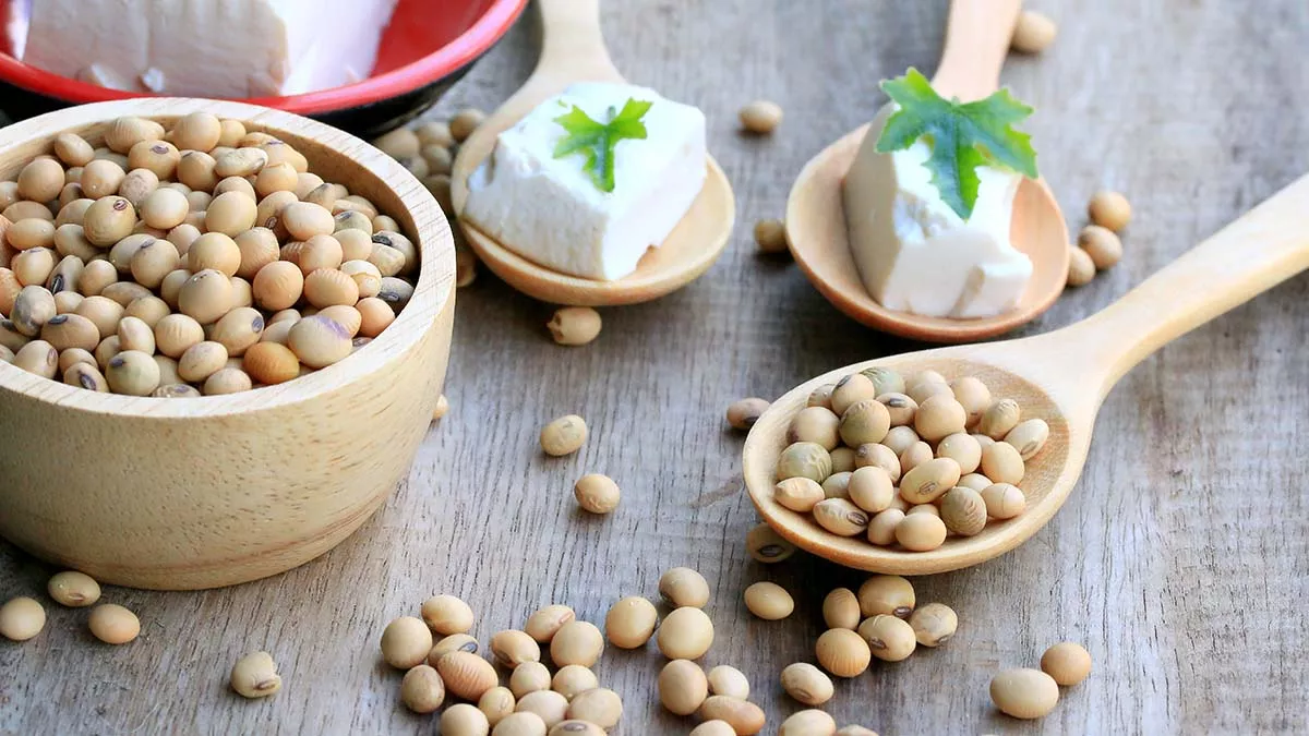 Βιταμίνη D, Βιταμίνη K2 και ο Ρόλος του Natto